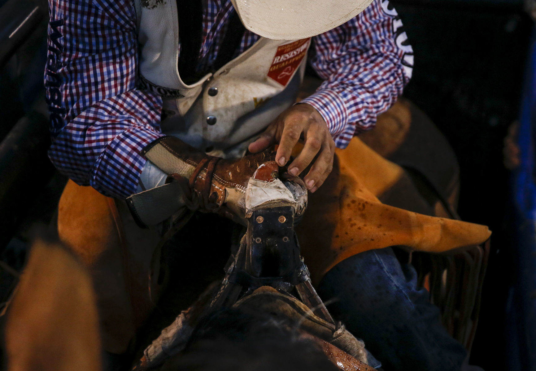 Rodeo
